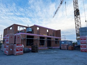Neubau eines Wohnhauses mit Büro und Ausstellung in massiver Bauweise